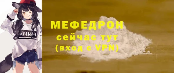 spice Богородицк
