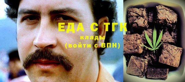 spice Богородицк