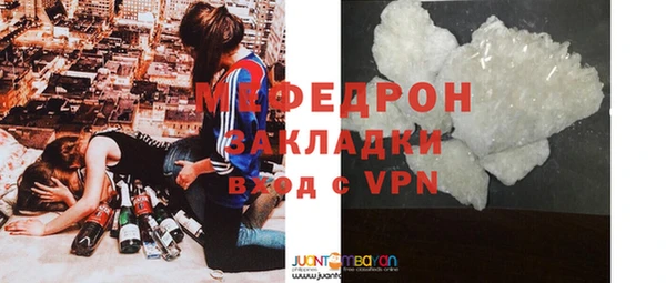 spice Богородицк