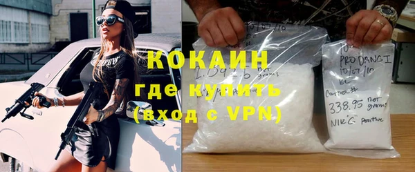 spice Богородицк