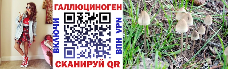 Псилоцибиновые грибы Magic Shrooms  как найти наркотики  Ковдор 
